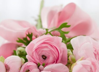flowers-blog-img-9