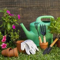 Pots and Tools-stayplant.com