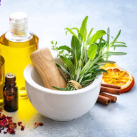medicinal plants-stayplant.com.jpg