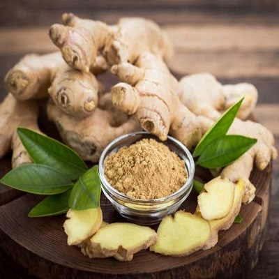 Ginger Plant (Adrak)