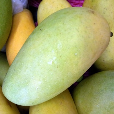 Fazli Mango | Grafted Fruit Plant