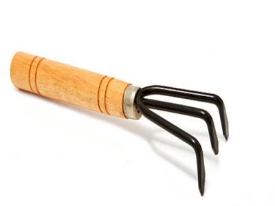 Gardening tools, rake