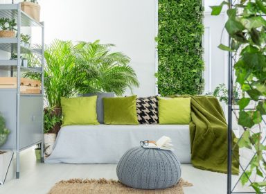 stay plant home decoration